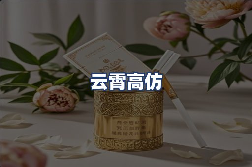 云霄高仿